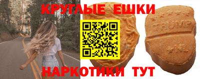 гашик Кинель