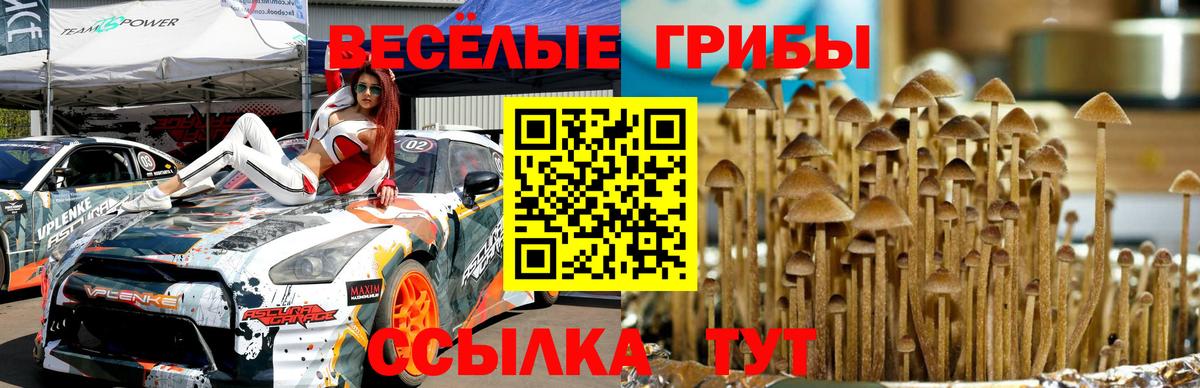 Галлюциногенные грибы MAGIC MUSHROOMS Королёв
