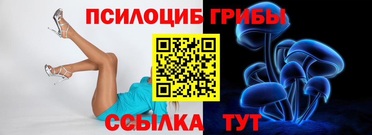 Королёв  Псилоцибиновые грибы MAGIC MUSHROOMS  Вход с VPN 