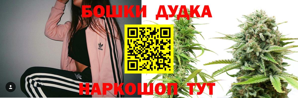 Королёв  Канабис Amnesia  МАРИХУАНА планчик  Вход с VPN 